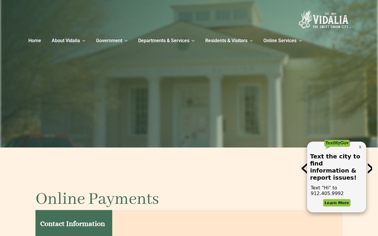 Vidalia official police citation payment entry page
